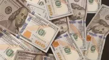 سعر الدولار يستقر عند مستويات ثابتة أمام الجنيه في تعاملات الخميس 11 ديسمبر 2025 1